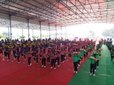 Plants: image 3 0f 4 thumb